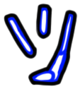 Image of the occurrence